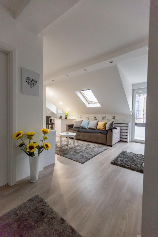 Stan na dan Angel Apartment Novi Sad Bagian luar foto