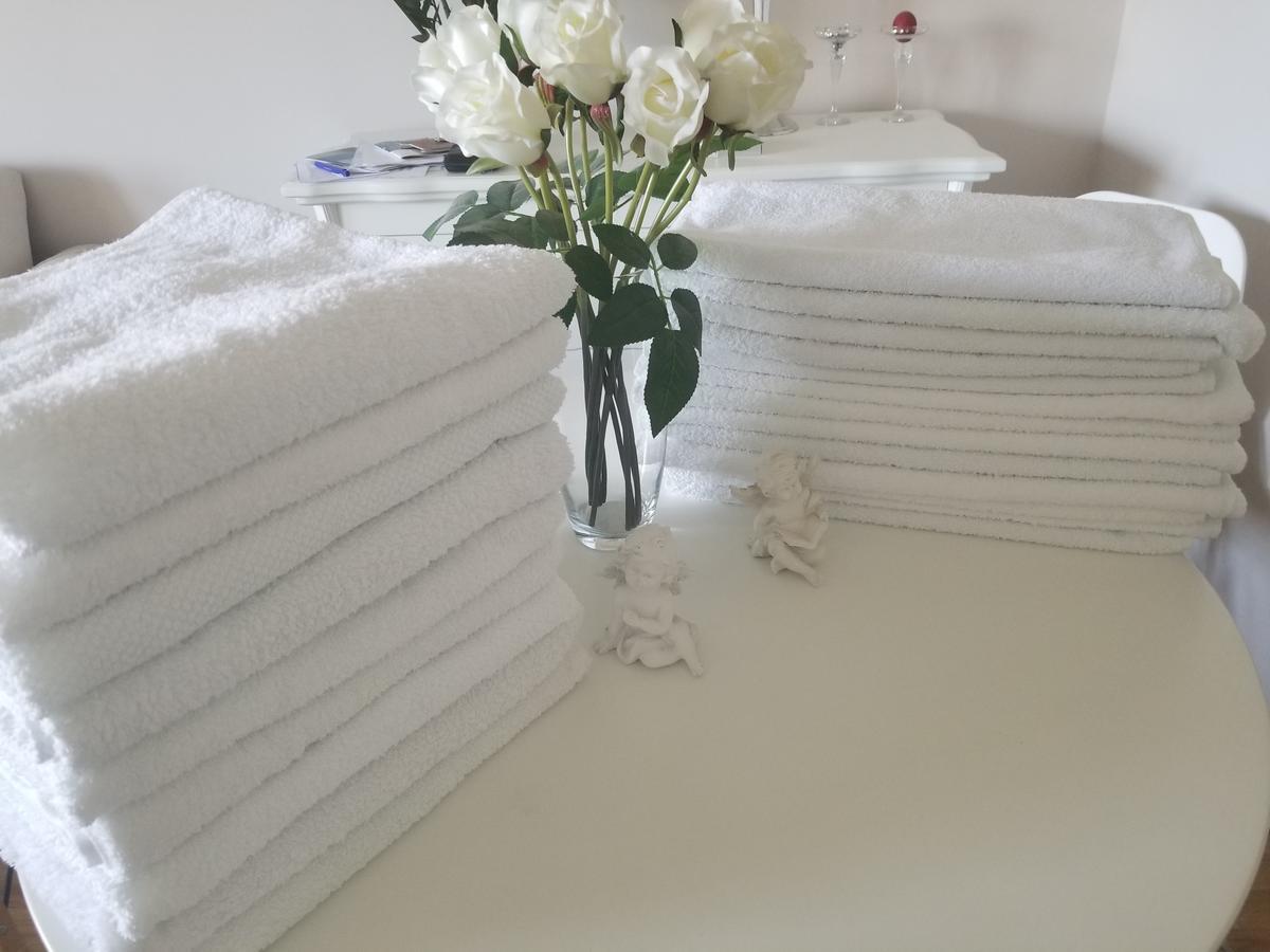 Stan na dan Angel Apartment Novi Sad Bagian luar foto