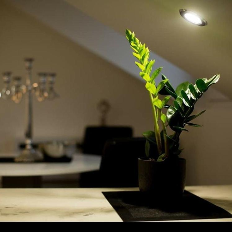 Stan na dan Angel Apartment Novi Sad Bagian luar foto