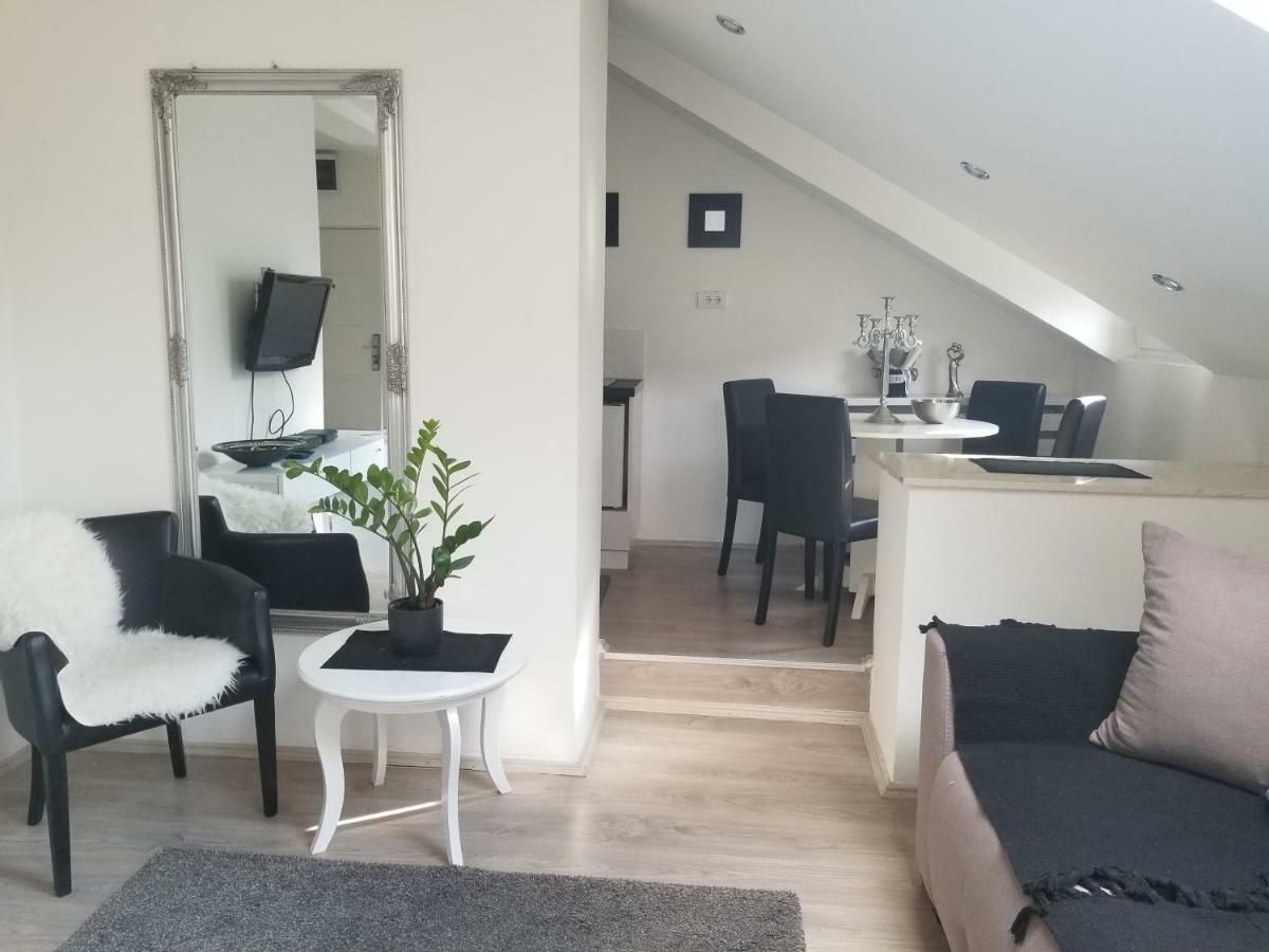 Stan na dan Angel Apartment Novi Sad Bagian luar foto