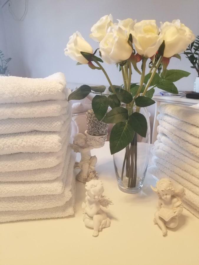Stan na dan Angel Apartment Novi Sad Bagian luar foto