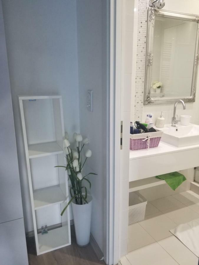 Stan na dan Angel Apartment Novi Sad Bagian luar foto